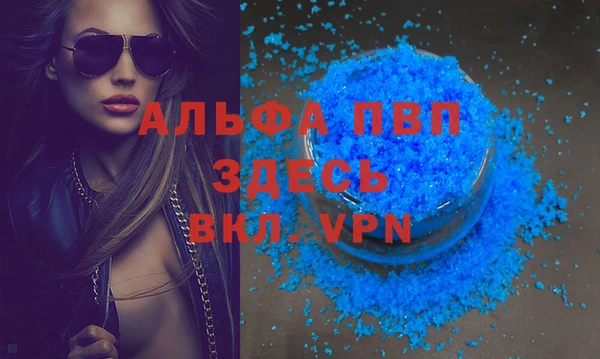 гидра Алексин