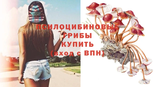 спайс Алексеевка