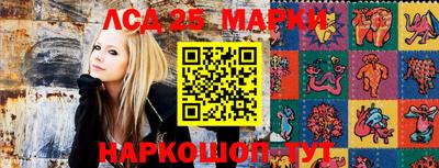 крисы Кунгур