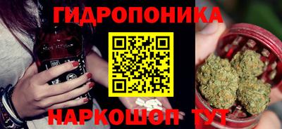крисы Кунгур