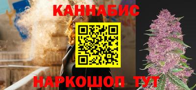 крисы Кунгур